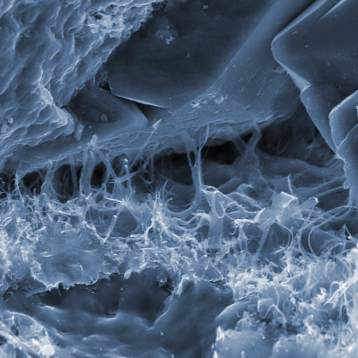 SEM Image showing fibrous illite in pores, draped over quartz