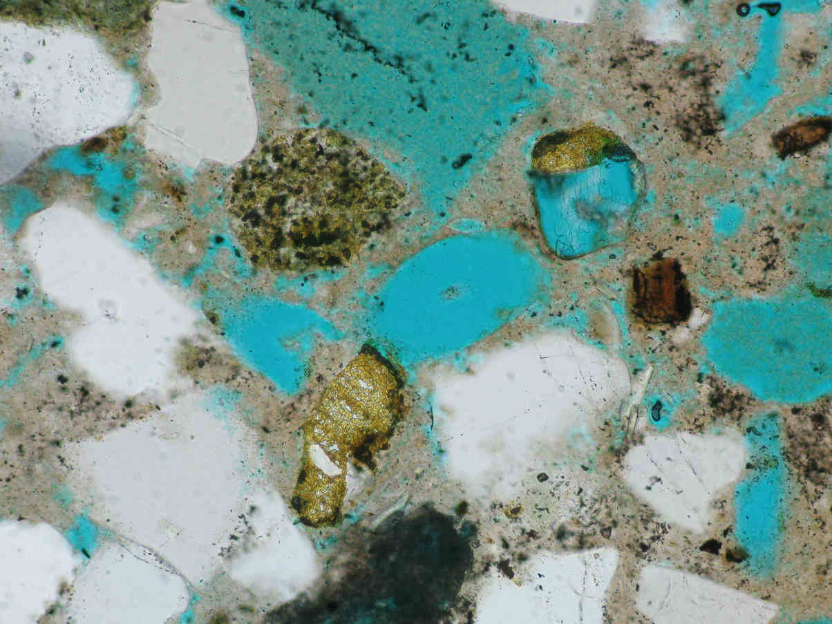 Thin-Section Photomicrograph Pores in Spiculitic Sandstone